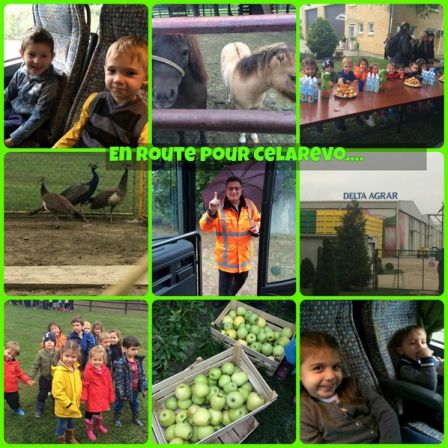 collage_celarevo1.jpg, oct. 2017 collage_celarevo1.jpg