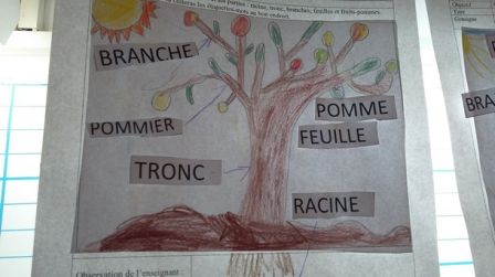 pommier 4, sept. 2017 pommier 4