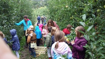 celarevo 2017 cueillette des pommes, sept. 2017 celarevo 2017 cueillette des pommes