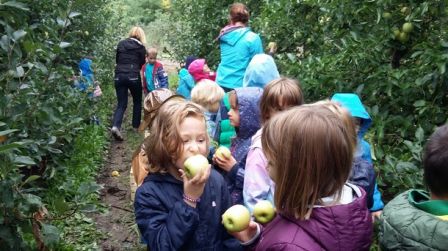 celarevo 2017 dégustation de pommes, sept. 2017 celarevo 2017 dégustation de pommes