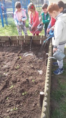 jardinage3, avr. 2018 jardinage3
