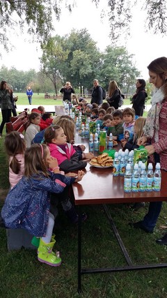 celarevo 2017 gouter, sept. 2017 celarevo 2017 gouter